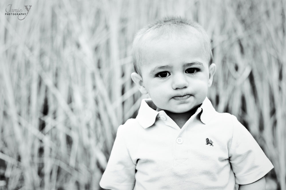 one year old boy photograph taken in front of tall grass
