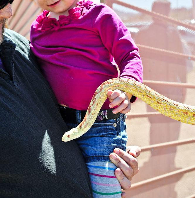 Roos N More Zoo Visit|Las Vegas Portrait Photographer