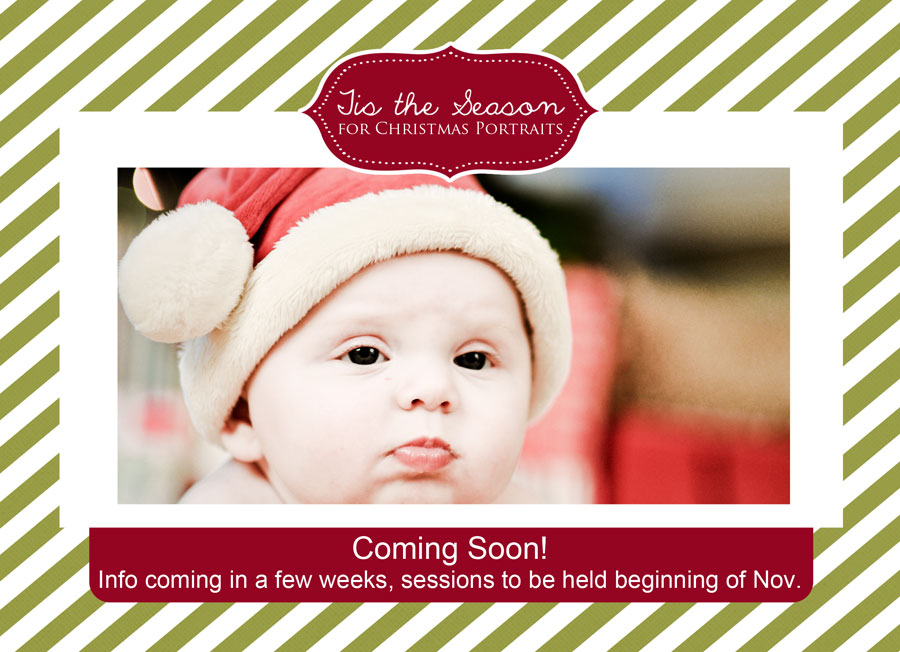 Christmas Mini Sessions Coming Soon | Las Vegas Photographer