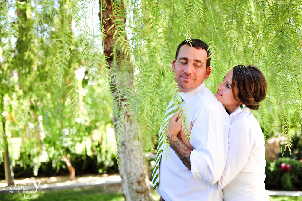 wedding pictures of las vegas couple under weeping tree