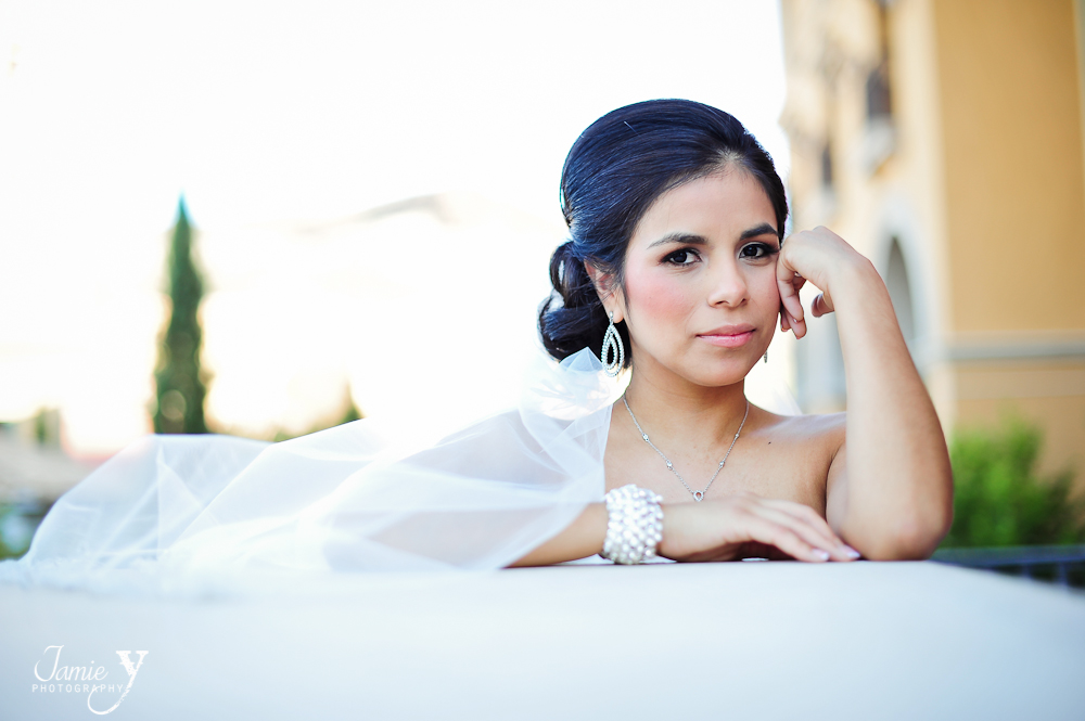 stunning bridal portrait from las vegas wedding photographer