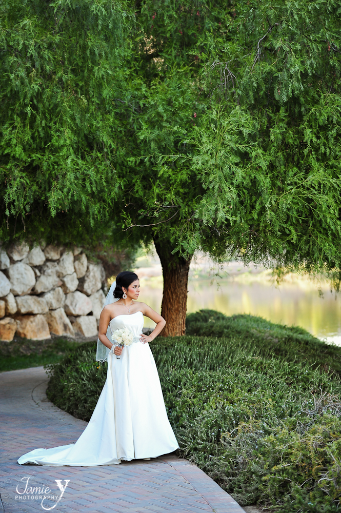 stunning bridal portrait from las vegas wedding photographer
