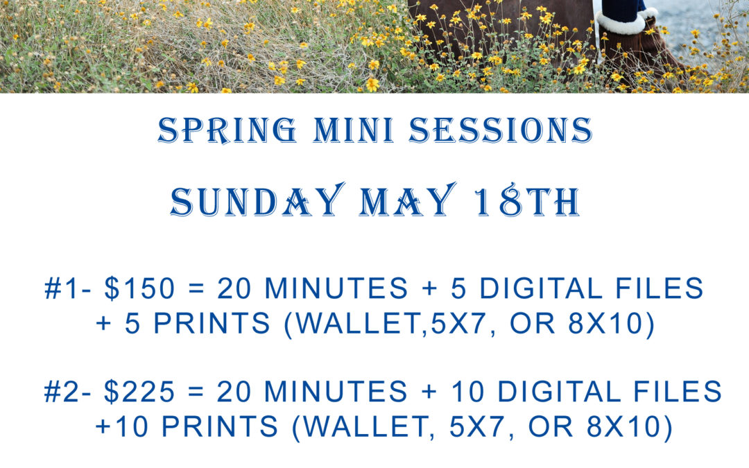 Spring Mini Session Details | Semi Annual Special Rate