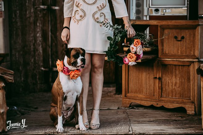 dog floral crown