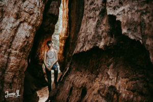 Sequoia national forest camping