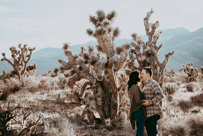 Joshua Tree Desert Vegas Couples Photos | Gina & Justin