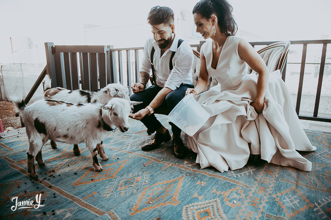The Doyle Las Vegas Wedding | Dogwood Party Rentals