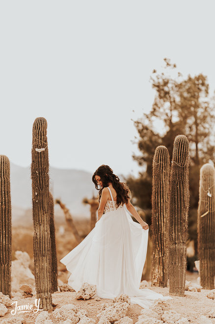 Weddings & Events — Cactus Joe's Desert Garden & Nursery Las Vegas